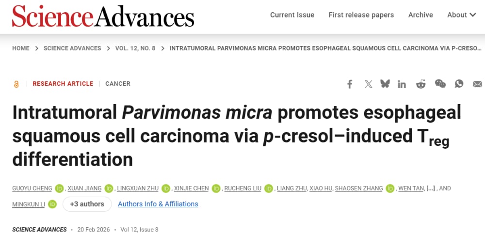 微小微单胞菌通过对甲酚诱导Treg细胞分化并促进食管癌生长的机制研究图