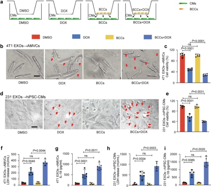 bc40d8703c164cf288f3549e6f3f1132-39nda48