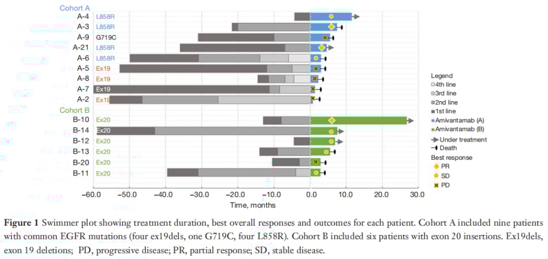 患者治疗反应泳道图