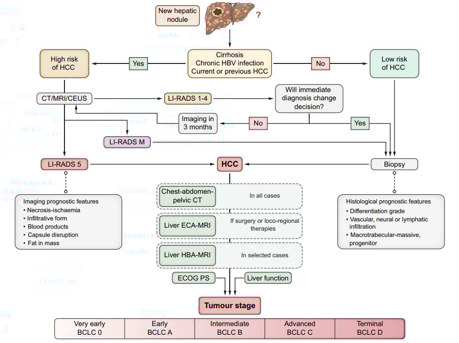 深度解读EASL 2024肝癌指南:最新治疗策略与争议点分析 3 HCC患者的诊断和分期框架