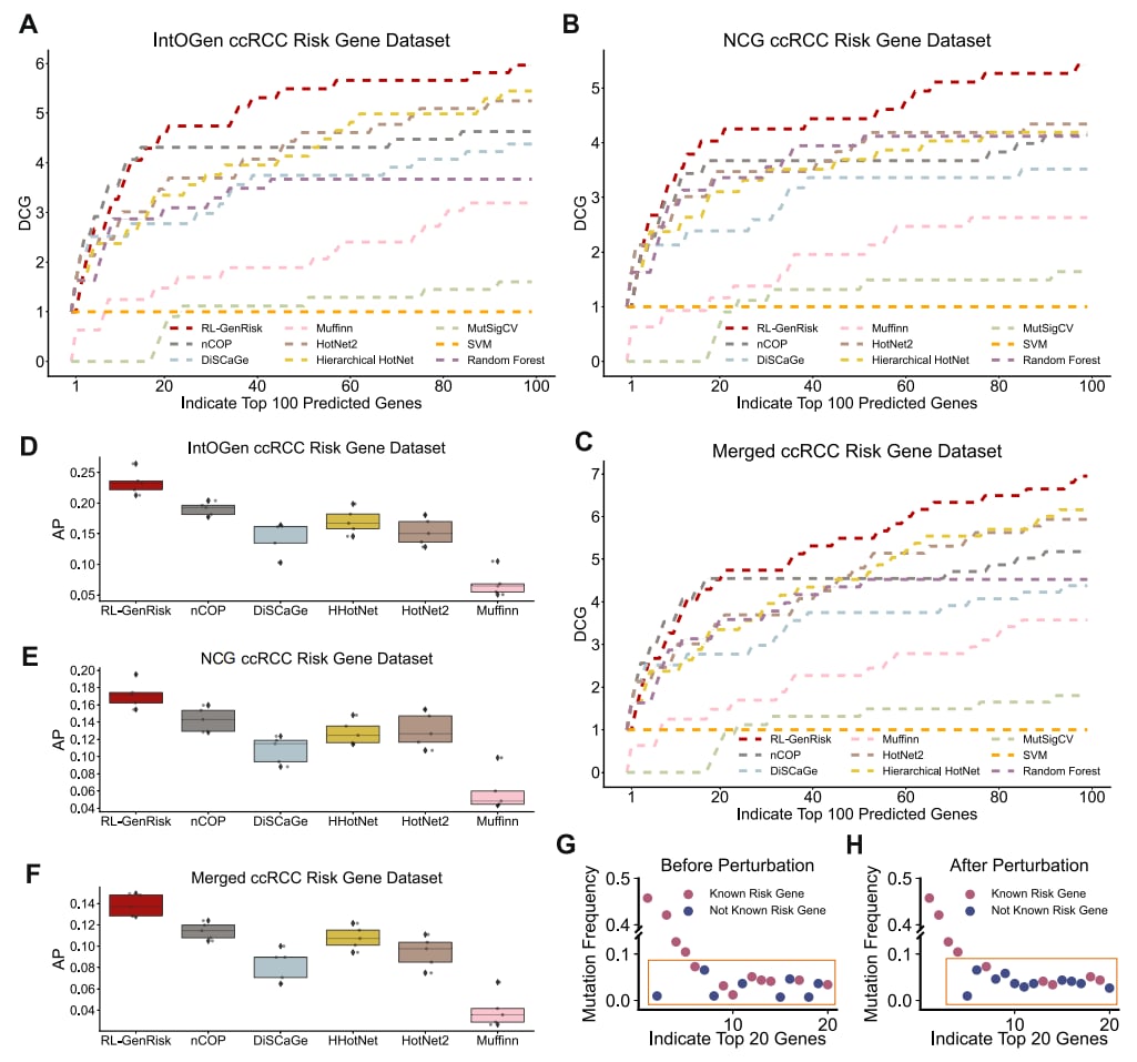 肾透明细胞癌治疗新方向:强化学习识别EGFR等关键风险基因 3 RL-GenRisk与现有方法对比结果