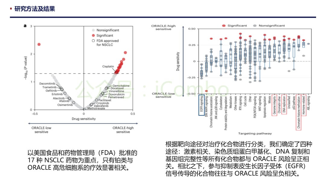 肺腺癌预后新希望:ORACLE标志物如何精准预测生存期并克服肿瘤异质性? 14 图片