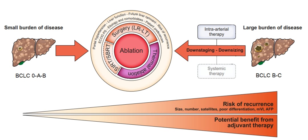 深度解读EASL 2024肝癌指南:最新治疗策略与争议点分析 6 以肿瘤消融为目的患者的治疗方法