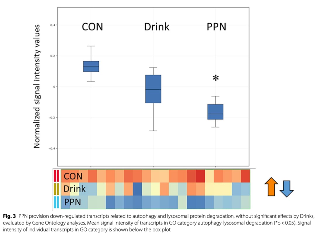 重大癌症手术患者术前营养策略:口服碳水化合物与静脉营养对骨骼肌代谢影响的临床研究 8 图片18.png