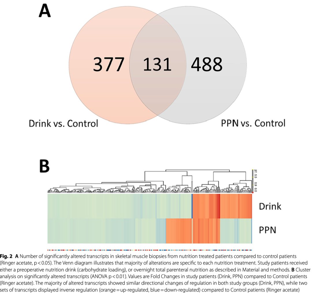 重大癌症手术患者术前营养策略:口服碳水化合物与静脉营养对骨骼肌代谢影响的临床研究 6 图片16.png