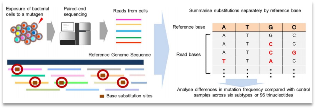 读懂癌症基因检测报告:突变丰度对靶向治疗意味着什么? 2 图片