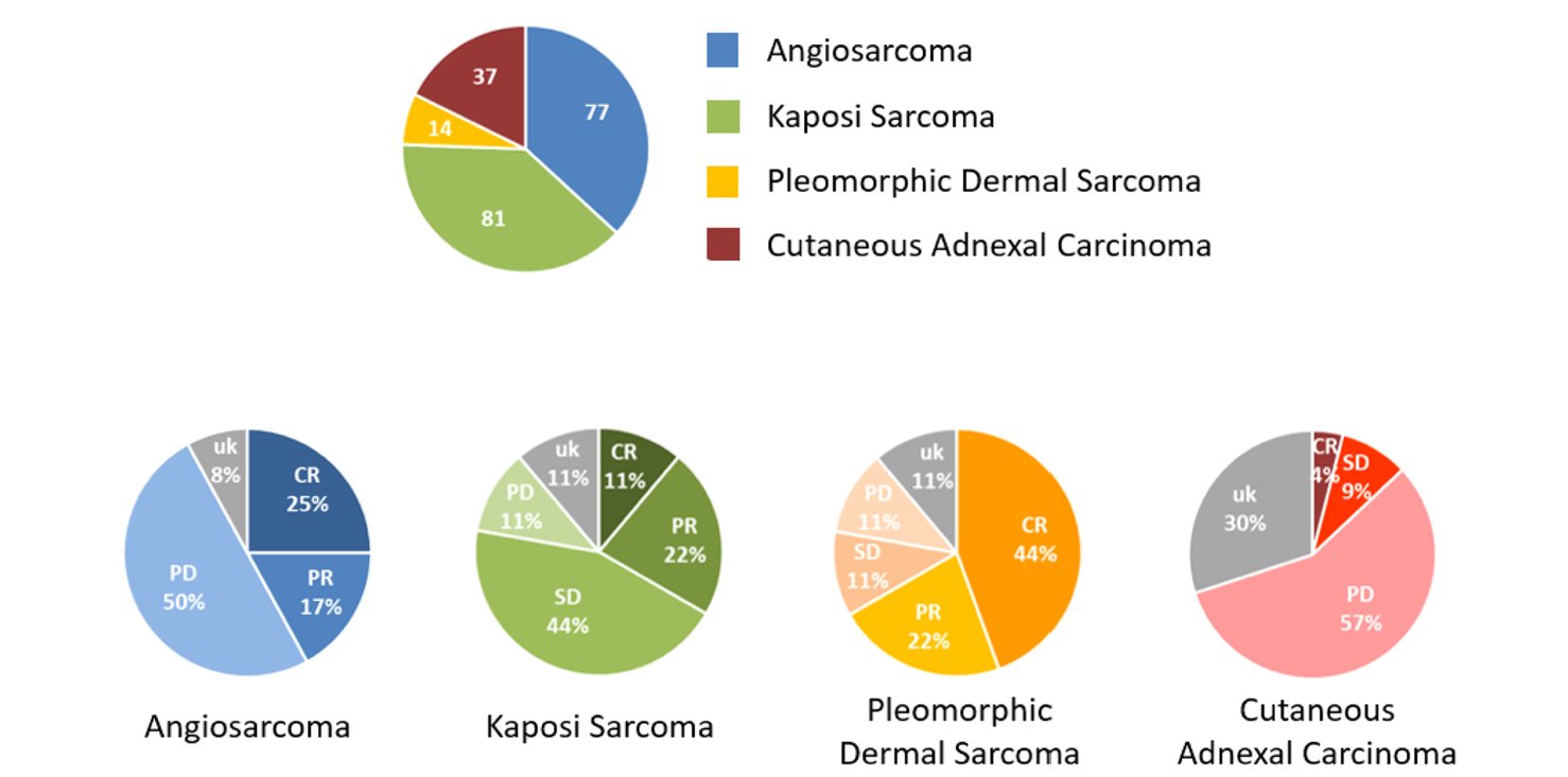 罕见皮肤癌治疗新进展:免疫检查点抑制剂在血管肉瘤中显奇效 2 1760419349930_6512445.png