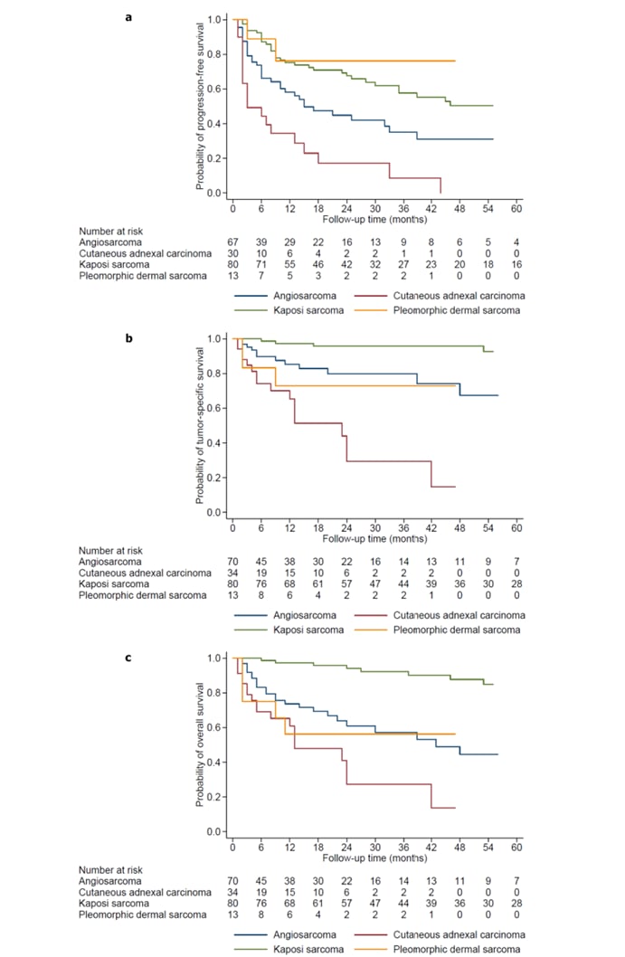 罕见皮肤癌治疗新进展:免疫检查点抑制剂在血管肉瘤中显奇效 3 1760419388798_6512445.png