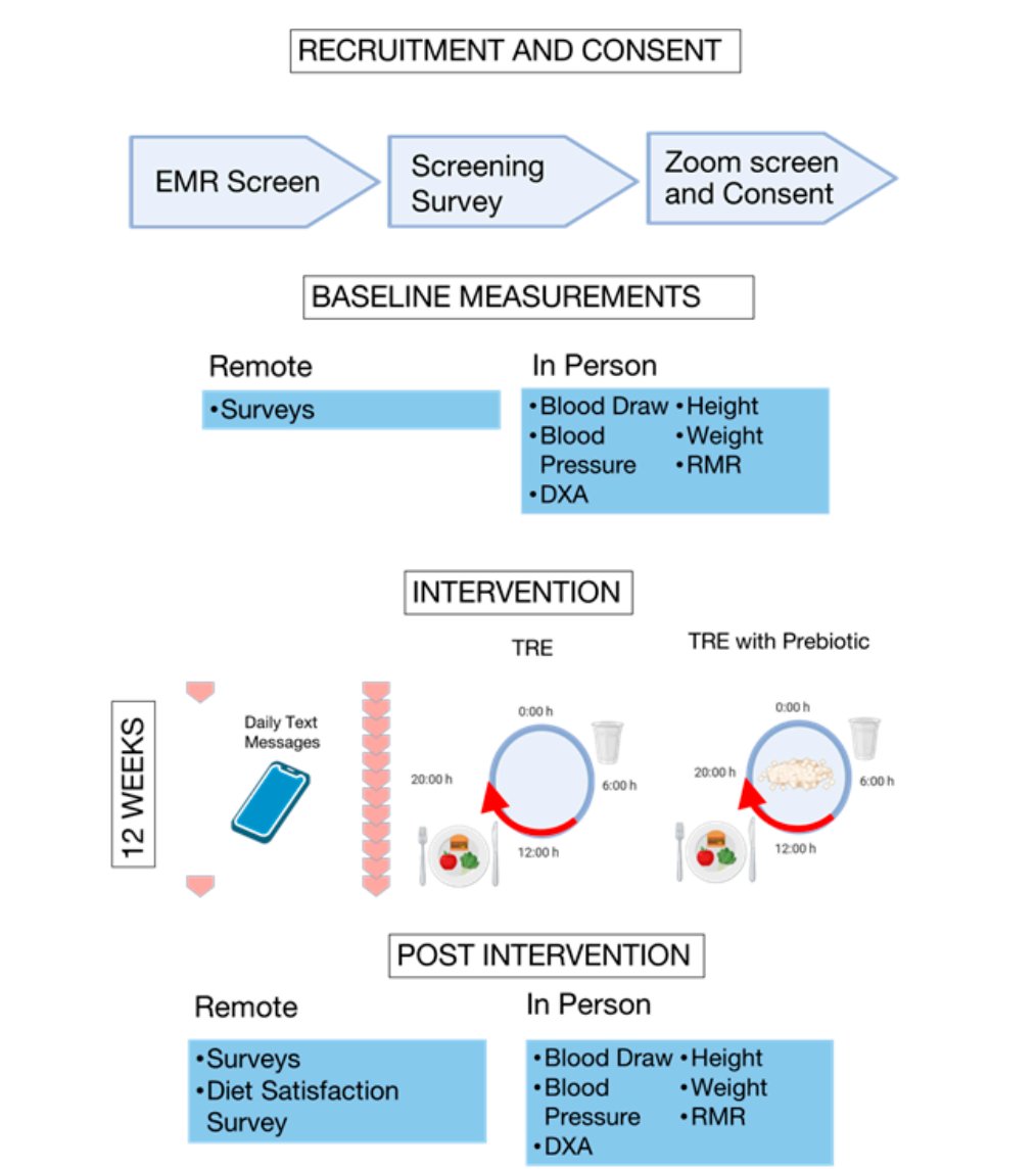 限时进食+益生元:儿童癌症幸存者体重管理与心代谢健康改善新策略 2 1761058544046_92910.png