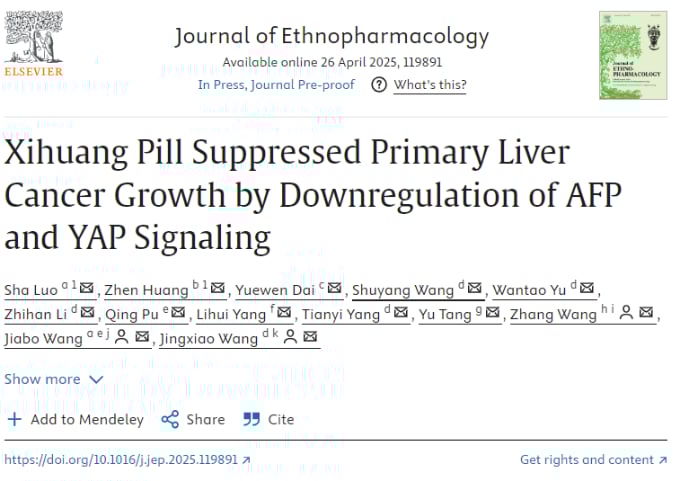 犀黄丸抗肝癌新进展:研究揭示其通过下调AFP和YAP信号通路抑制肿瘤生长 1 1746003076454_5610093.png