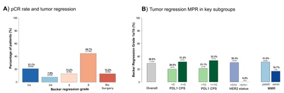 阿维鲁单抗联合FLOT方案:胃癌与胃食管交界癌新辅助治疗的突破性进展 2 1748078437380_6145188.png