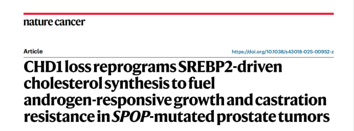 CHD1缺失与SPOP突变:前列腺癌去势抵抗新机制及阿比特龙联合阿托伐他汀治疗策略 1 1748250634733_9488541.png
