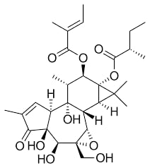 Tigilanol tiglate治疗软组织肉瘤新进展:临床试验中超半数肿瘤完全清除 1 1751576559758_4754896.png