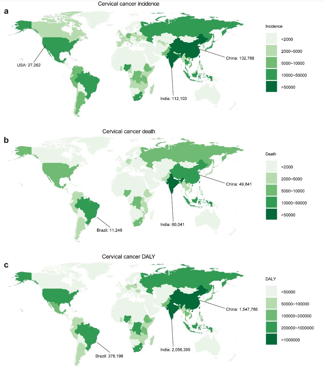 30年数据揭秘:乳腺癌、宫颈癌等四大女性癌症的最新趋势与预防关键 3 1751874738154_8106296.png