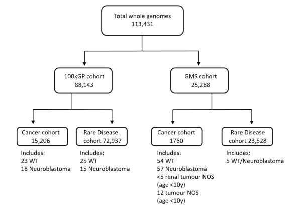 MYCN基因微重复:解密儿童神经母细胞瘤与肾母细胞瘤的遗传密码,家族筛查与早防早治新希望 2 1770083280548_92910.png