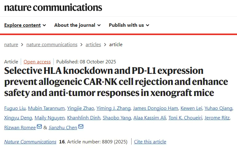 “隐身”CAR-NK细胞疗法:攻克免疫排斥,为淋巴瘤、白血病治疗带来“现货”新希望 1 1759936614476_1938376.png