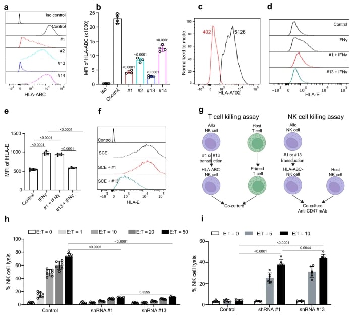“隐身”CAR-NK细胞疗法:攻克免疫排斥,为淋巴瘤、白血病治疗带来“现货”新希望 2 1759936614552_1938376.png