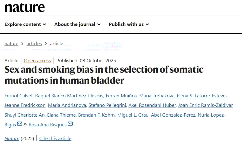 膀胱癌风险新发现:吸烟与性别如何筛选“癌前细胞”? 1 1760023649399_1938376.png