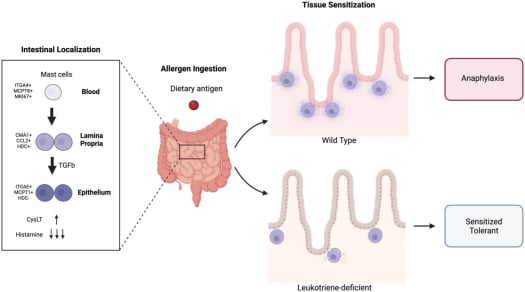 《科学》2025年8月重磅研究:癌症早期筛查、齐留通新用途及免疫系统奥秘 3 1755731920645_2185383.png
