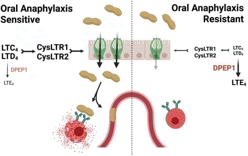《科学》2025年8月重磅研究:癌症早期筛查、齐留通新用途及免疫系统奥秘 2 1755732672216_2185383.png
