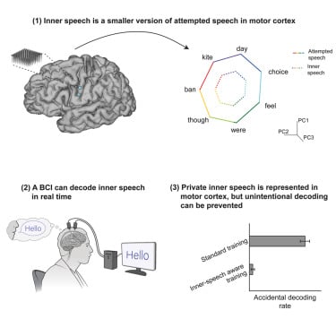 《细胞》期刊2025年8月重磅发布:癌症、基因编辑与神经科学前沿突破 8 1755950441263_2185383.jpeg