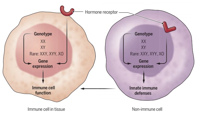 《科学》2025年8月重磅研究:癌症早期筛查、齐留通新用途及免疫系统奥秘 1 1756090113861_8827638.png