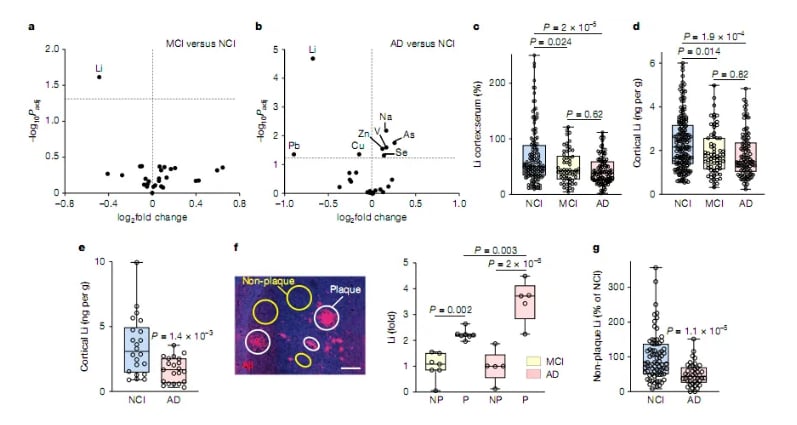 Nature杂志8月重磅研究:肺癌、胰腺癌、阿尔兹海默病等疾病治疗新希望与机制揭示 1 1756124482316_1938376.png