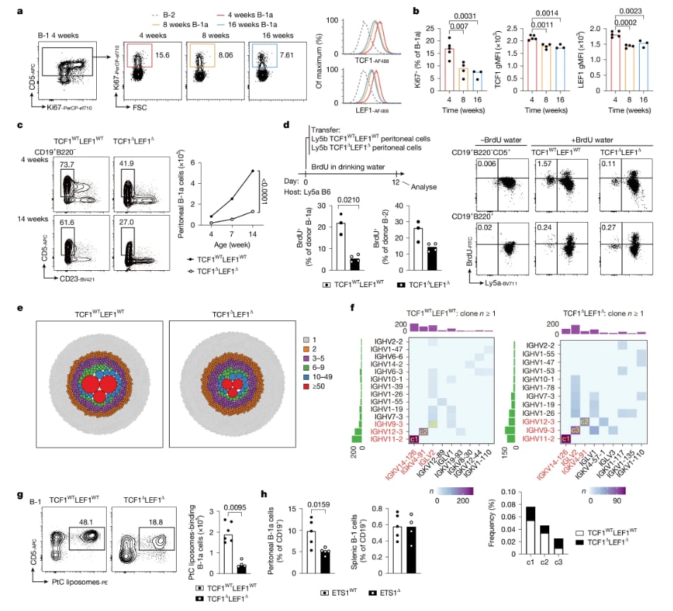 Nature杂志8月重磅研究:肺癌、胰腺癌、阿尔兹海默病等疾病治疗新希望与机制揭示 3 1756124482400_1938376.png