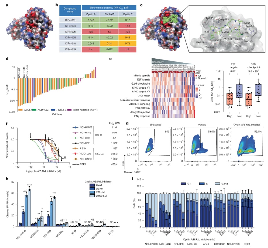Nature杂志8月重磅研究:肺癌、胰腺癌、阿尔兹海默病等疾病治疗新希望与机制揭示 4 1756124482458_1938376.png