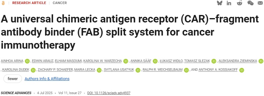 “即插即用”CAR-T细胞疗法突破实体瘤治疗瓶颈:乳腺癌、卵巢癌患者迎来新希望 1 1756223655654_2185383.png