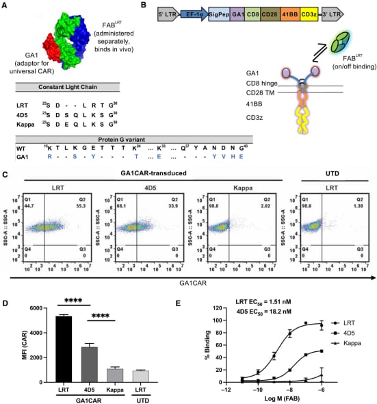 “即插即用”CAR-T细胞疗法突破实体瘤治疗瓶颈:乳腺癌、卵巢癌患者迎来新希望 2 1756223655681_2185383.png