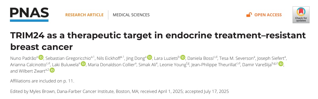 ERα阳性乳腺癌内分泌耐药新突破:PNAS揭示TRIM24靶向降解潜力 1 1756733037081_9363901.png