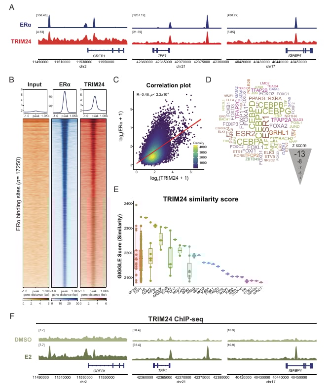 ERα阳性乳腺癌内分泌耐药新突破:PNAS揭示TRIM24靶向降解潜力 3 1756733037142_9363901.png