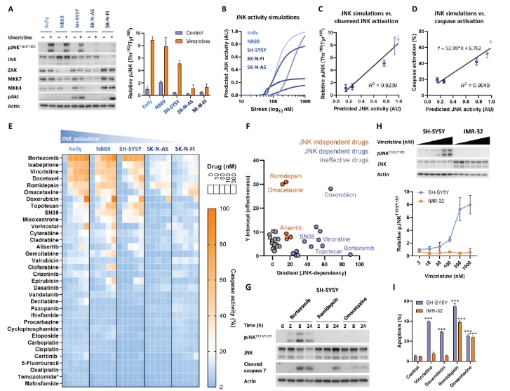 罗米地辛联合化疗:攻克复发性神经母细胞瘤耐药难题,新疗法点燃生命曙光 2 1764601681722_1938376.png