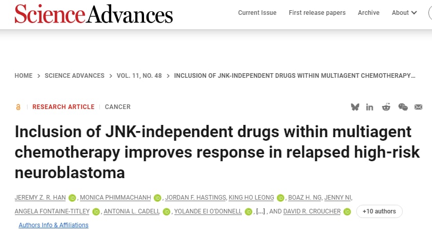 罗米地辛联合化疗:攻克复发性神经母细胞瘤耐药难题,新疗法点燃生命曙光 1 1764601791549_1938376.png