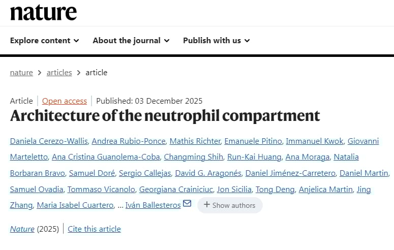 揭秘免疫“双面手”:中性粒细胞如何影响癌症进展与治疗?NeuMap带来新希望 1 1764860883439_1938376.png