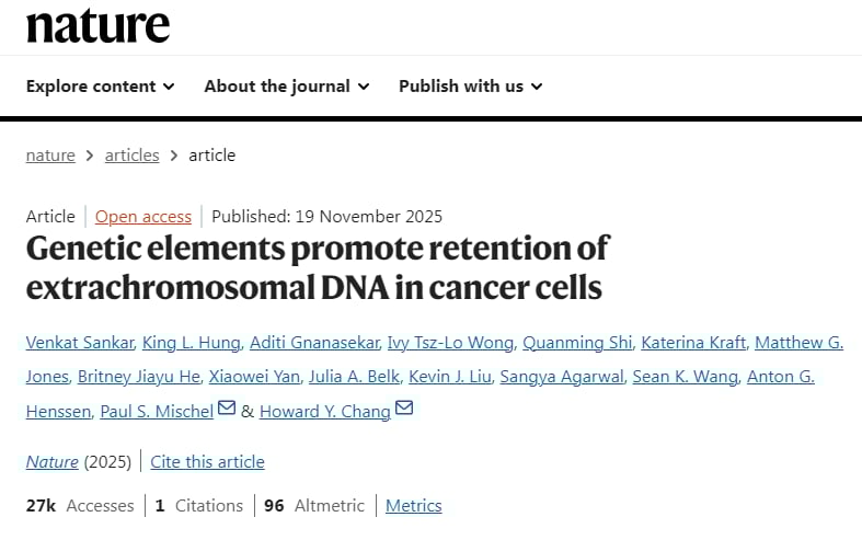 癌症耐药新解:ecDNA“搭便车”机制揭示肿瘤演化与治疗新方向 1 1764861064411_1938376.png