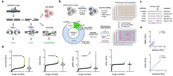 常见药物如何影响癌症精准治疗?CRISPR基因编辑与DNA修复机制深度解析 2 1765886853312_2185383.png