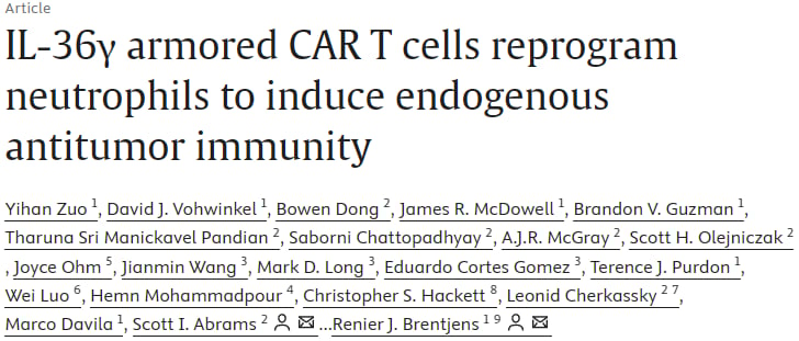 CAR T细胞治疗实体瘤迎来重大突破:IL-36γ如何激活免疫系统根除小细胞肺癌? 1 1766402159957_2185383.png