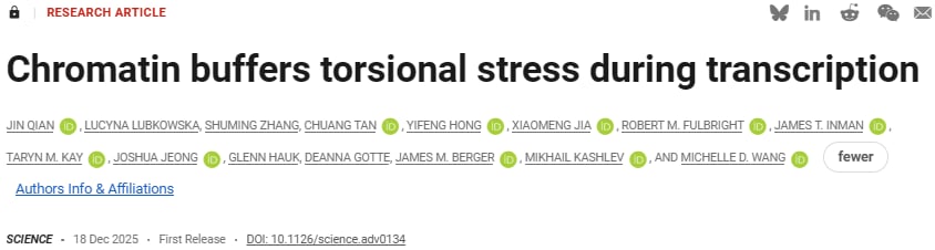 《Science》揭示癌症根源谜题:核小体如何调控基因表达,影响肿瘤发生与治疗新方向 1 1766406985785_2185383.png