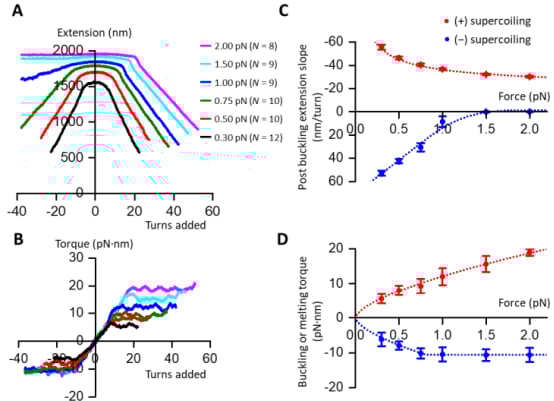 《Science》揭示癌症根源谜题:核小体如何调控基因表达,影响肿瘤发生与治疗新方向 2 1766406985815_2185383.png