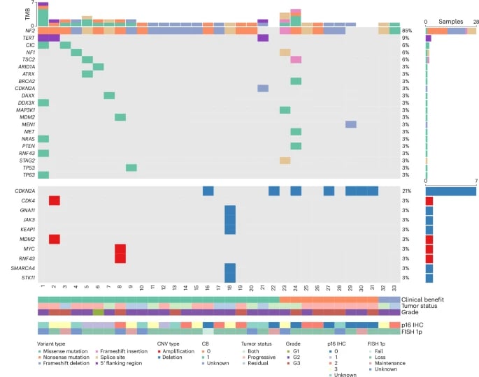 侵袭性脑膜瘤复发怎么办?阿贝西利临床数据惊艳:生存期显著延长,附最新购药渠道解析 2 1768993602651_2185383.png