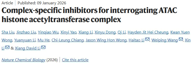 癌症治疗新突破:首创靶向ATAC复合物抑制剂LS-170,为肺癌等带来新希望 1 1768996053132_2185383.png