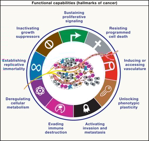 《Cell》重磅更新:癌症标志新框架,全面揭示肿瘤发生发展与未来抗癌方向 2 新版癌症标志框架的四维度模型示意图