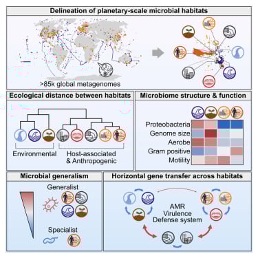 Cell重磅揭示:癌症、阿尔茨海默病等重大疾病治疗新进展与希望 2 全球微生物组网络连接示意图