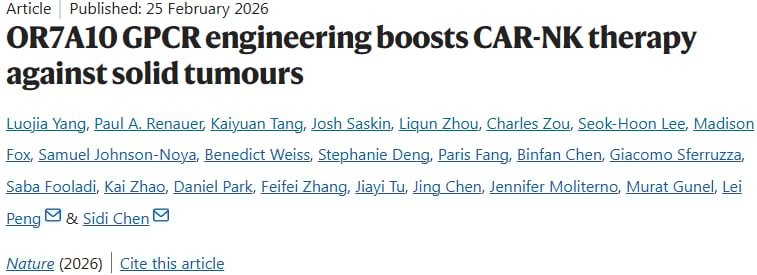 实体瘤治疗新曙光:OR7A10基因如何增强CAR-NK细胞抗癌力? 1 免疫细胞被改造为抗癌武器,CAR-T和CAR-NK细胞疗法的示意图