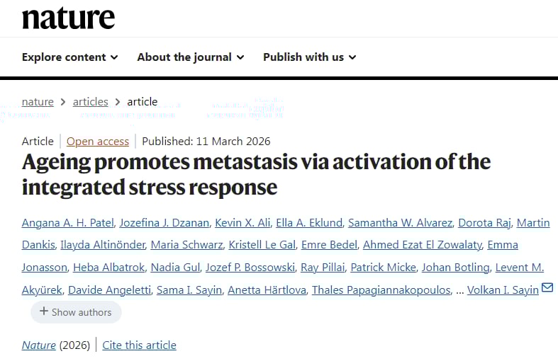 老年肺癌为何更易转移?Nature研究锁定ATF4新靶点 1 老年肺癌转移机制与ATF4研究示意图