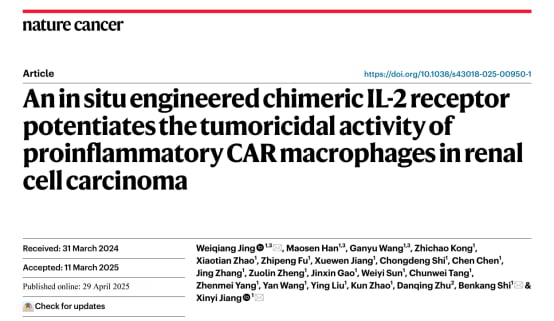 肾细胞癌治疗新希望:CAR巨噬细胞疗法如何精准抗癌并重塑肿瘤微环境? 1 图片