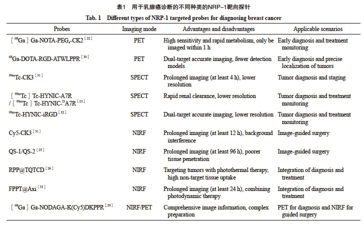 靶向NRP-1:分子探针如何助力乳腺癌精准诊断与治疗评估 1 图片