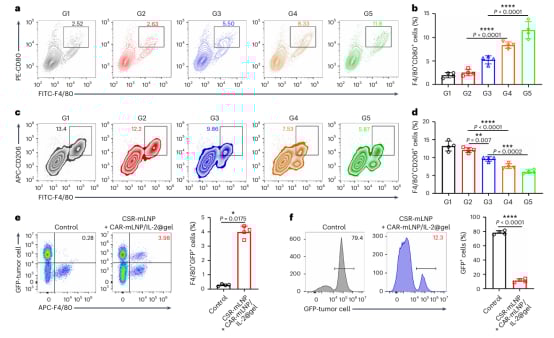 肾细胞癌治疗新希望:CAR巨噬细胞疗法如何精准抗癌并重塑肿瘤微环境? 6 图片